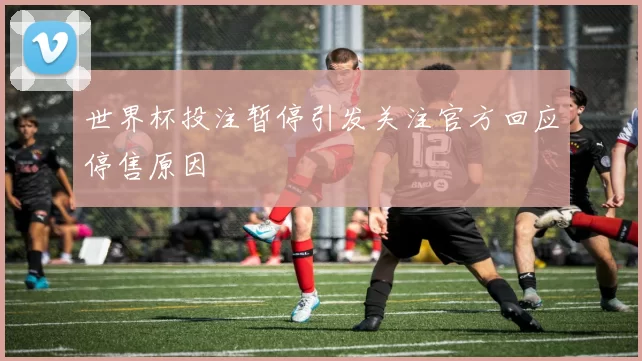 世界杯投注暂停引发关注官方回应停售原因