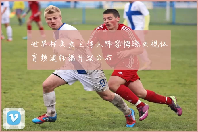 世界杯美女主持人阵容揭晓央视体育频道转播计划公布