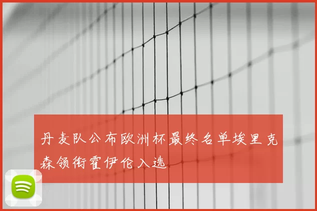 丹麦队公布欧洲杯最终名单埃里克森领衔霍伊伦入选