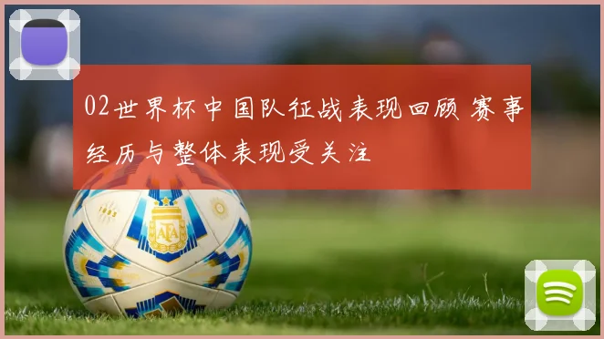 02世界杯中国队征战表现回顾 赛事经历与整体表现受关注