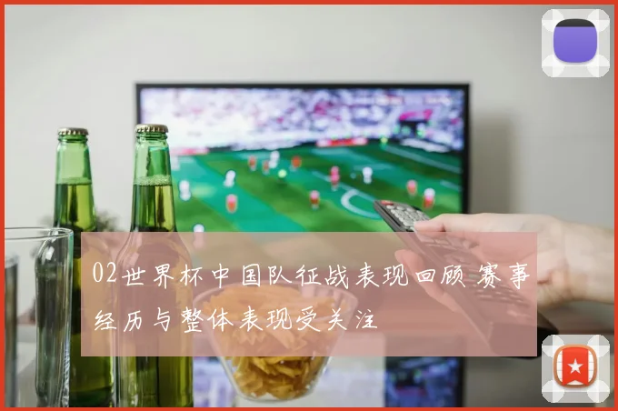02世界杯中国队征战表现回顾 赛事经历与整体表现受关注