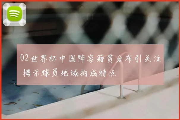 02世界杯中国阵容籍贯分布引关注 揭示球员地域构成特点