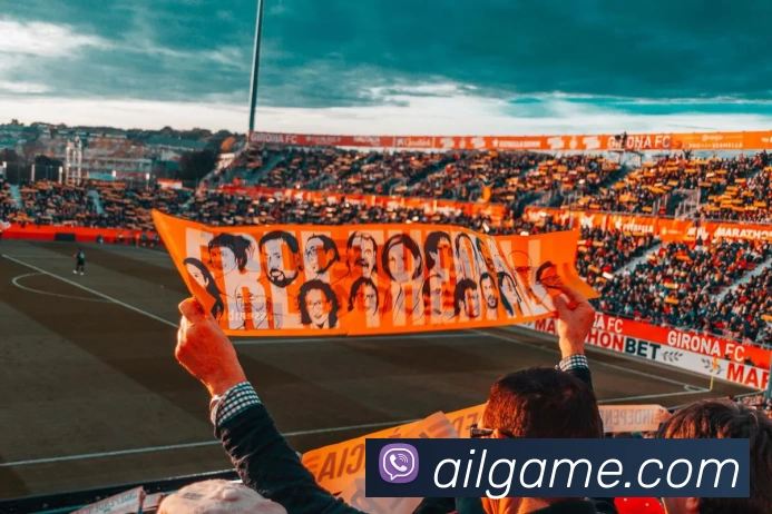 星空官方在线登录入口发展历程